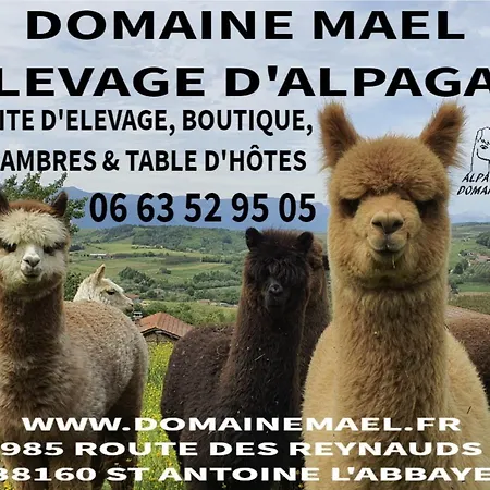 Bed & Breakfast Alpagas Du Domaine Mael Saint-Antoine (Isere)