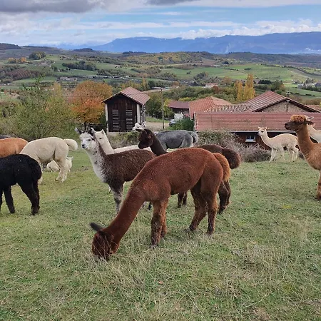 Alpagas Du Domaine Mael Bed & Breakfast Saint-Antoine (Isere)