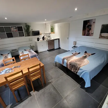 Bed and breakfast Alpagas Du Domaine Mael *