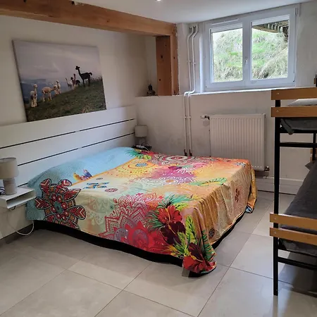 Alpagas Du Domaine Mael Bed and breakfast Saint-Antoine (Isere)