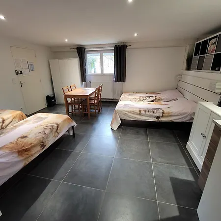 Bed and breakfast Alpagas Du Domaine Mael Saint-Antoine (Isere)