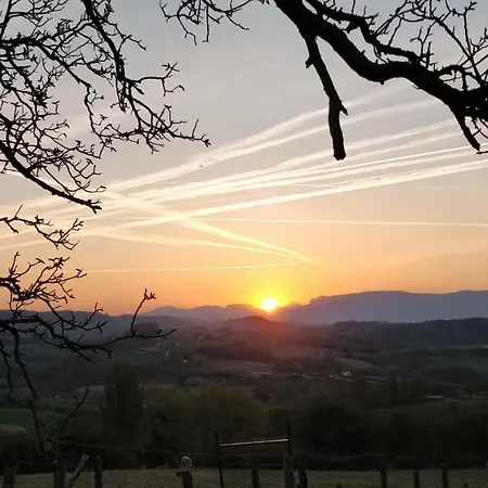 Alpagas Du Domaine Mael Saint-Antoine (Isere)