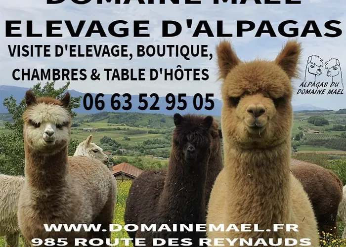 Bed & Breakfast Alpagas Du Domaine Mael Saint-Antoine (Isere)