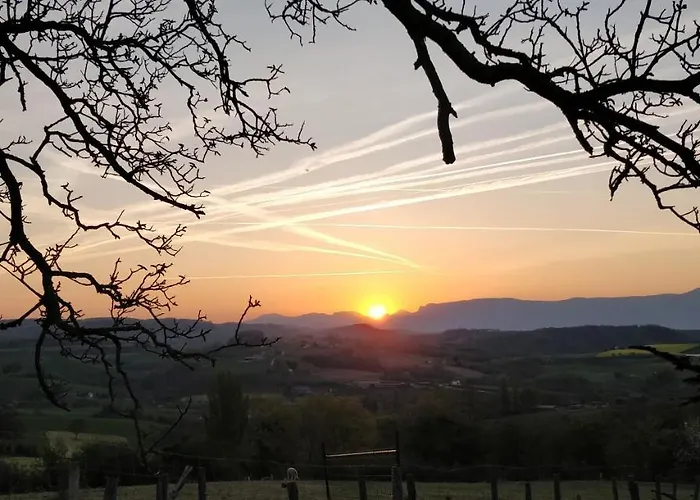 Alpagas Du Domaine Mael Saint-Antoine (Isere)